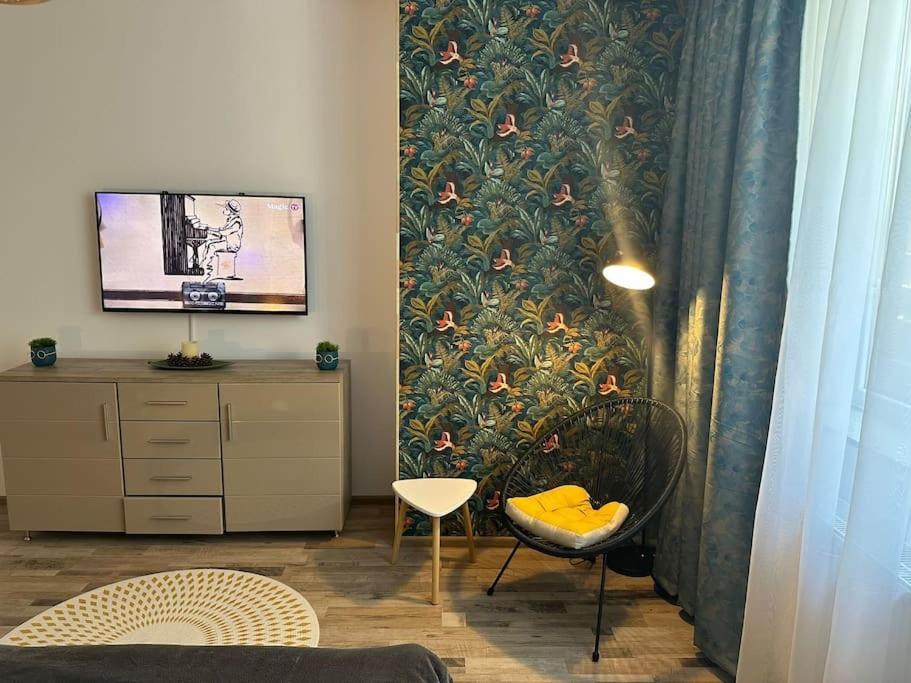Newlevel Studio Brassó Kültér fotó